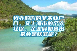 我办的假的非农业户口，交上海市的个人社保，企业假如查出来会是啥罪呢？