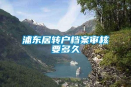 浦东居转户档案审核要多久