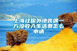 上海社保外地丧偶一方没收入生活费怎么申请