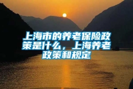 上海市的养老保险政策是什么，上海养老政策和规定