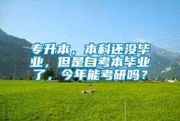 专升本，本科还没毕业，但是自考本毕业了，今年能考研吗？