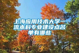 上海应用技术大学一流本科专业建设点名单有哪些