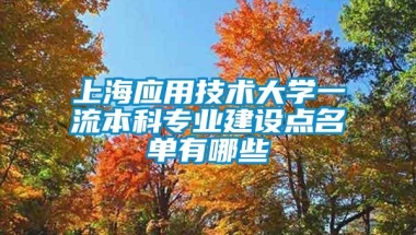 上海应用技术大学一流本科专业建设点名单有哪些