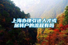 上海办理引进人才或居转户的流程有吗