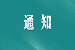 注意！2023年，高校毕业生就业报到证取消！