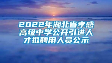 2022年湖北省孝感高级中学公开引进人才拟聘用人员公示