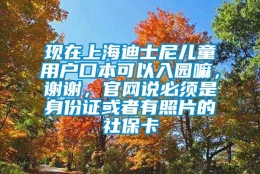 现在上海迪士尼儿童用户口本可以入园嘛，谢谢，官网说必须是身份证或者有照片的社保卡