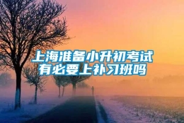 上海准备小升初考试有必要上补习班吗