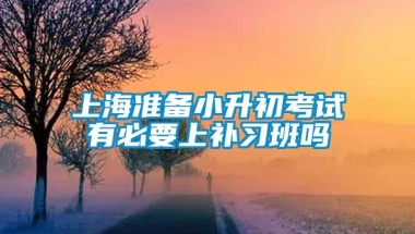 上海准备小升初考试有必要上补习班吗