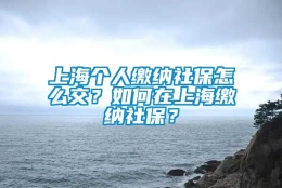 上海个人缴纳社保怎么交？如何在上海缴纳社保？