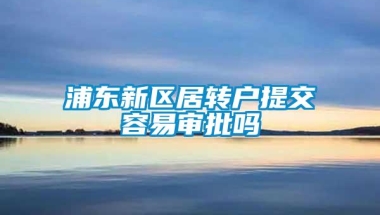 浦东新区居转户提交容易审批吗