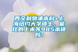 西交利物浦本科+上海纽约大学硕士，能比的上末等985本硕吗？