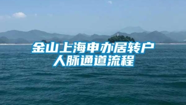 金山上海申办居转户人脉通道流程