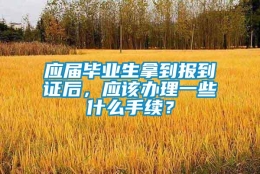 应届毕业生拿到报到证后，应该办理一些什么手续？