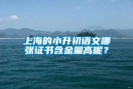 上海的小升初语文哪张证书含金量高呢？