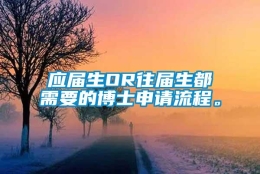 应届生OR往届生都需要的博士申请流程。