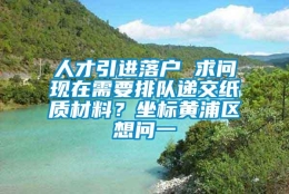 人才引进落户 求问现在需要排队递交纸质材料？坐标黄浦区想问一