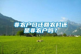 非农户口迁回农村还是非农户吗？