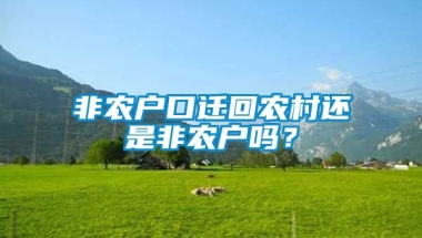 非农户口迁回农村还是非农户吗？