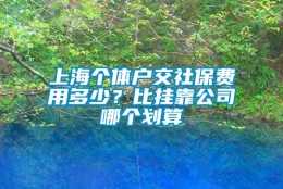 上海个体户交社保费用多少？比挂靠公司哪个划算