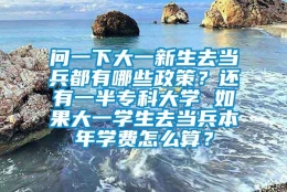 问一下大一新生去当兵都有哪些政策？还有一半专科大学 如果大一学生去当兵本年学费怎么算？