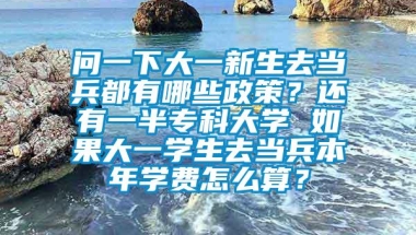 问一下大一新生去当兵都有哪些政策？还有一半专科大学 如果大一学生去当兵本年学费怎么算？