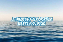 上海居转户区人才是审核什么内容