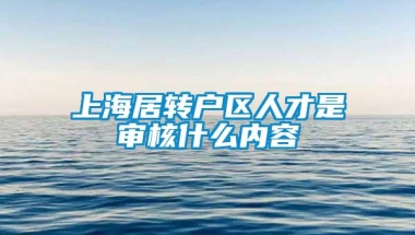 上海居转户区人才是审核什么内容