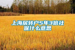 上海居转户5年3倍社保什么意思