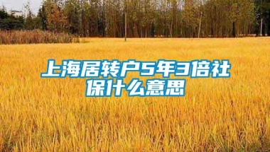 上海居转户5年3倍社保什么意思