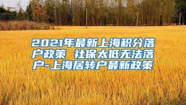 2021年最新上海积分落户政策 社保太低无法落户-上海居转户最新政策