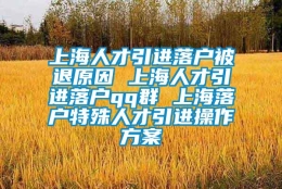 上海人才引进落户被退原因 上海人才引进落户qq群 上海落户特殊人才引进操作方案