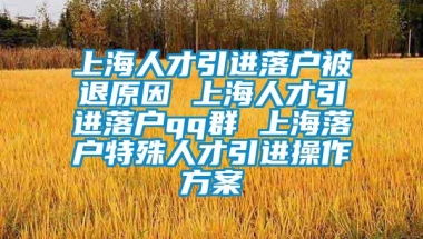 上海人才引进落户被退原因 上海人才引进落户qq群 上海落户特殊人才引进操作方案