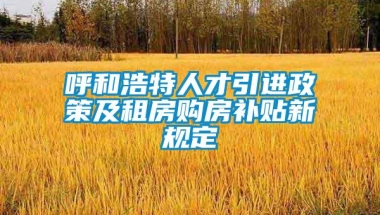 呼和浩特人才引进政策及租房购房补贴新规定