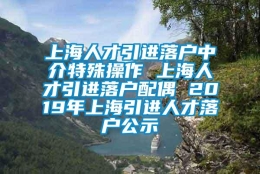 上海人才引进落户中介特殊操作 上海人才引进落户配偶 2019年上海引进人才落户公示