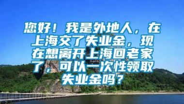 您好！我是外地人，在上海交了失业金，现在想离开上海回老家了，可以一次性领取失业金吗？