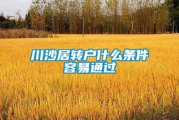 川沙居转户什么条件容易通过