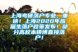 上海考研落户专业，重磅！上海2020年应届生落户政策发布！部分高校本硕博直接落户！