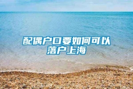 配偶户口要如何可以落户上海