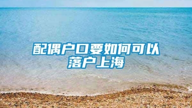 配偶户口要如何可以落户上海