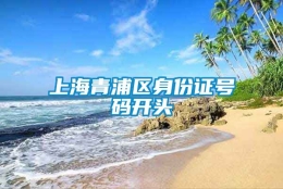 上海青浦区身份证号码开头