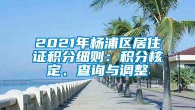 2021年杨浦区居住证积分细则：积分核定、查询与调整