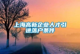 上海高新企业人才引进落户条件