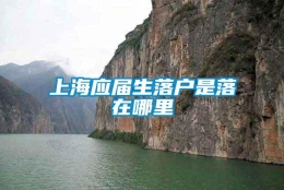 上海应届生落户是落在哪里