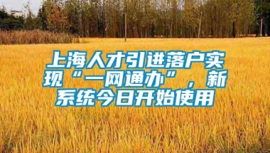 上海人才引进落户实现“一网通办”，新系统今日开始使用