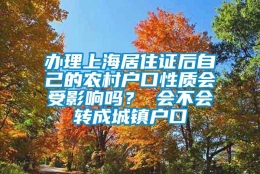 办理上海居住证后自己的农村户口性质会受影响吗？ 会不会转成城镇户口