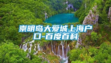 崇明岛大爱城上海户口-百度百科