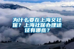 为什么要在上海交社保？上海社保办理途径有哪些？