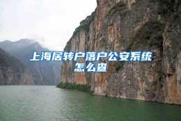 上海居转户落户公安系统怎么查