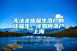 无法走应届生落户的往届生，该如何落户上海